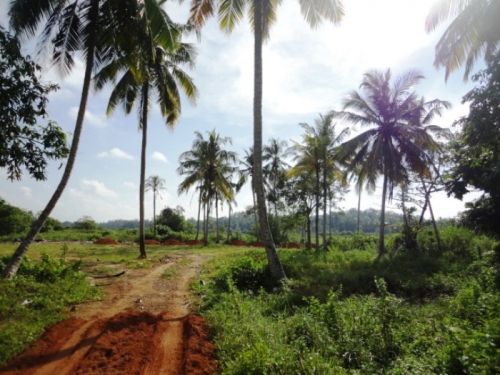 Picturesque property in Induruwa