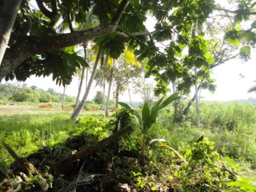 Picturesque property in Induruwa