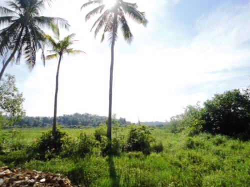 Picturesque property in Induruwa