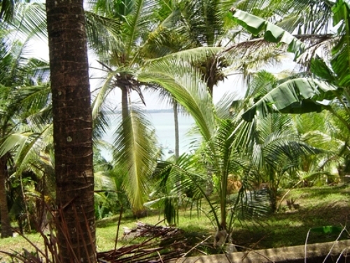 Land With breathtaking views of the Weligama Bay