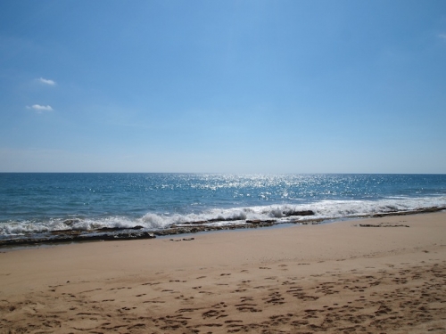 Large portion of beachfront land