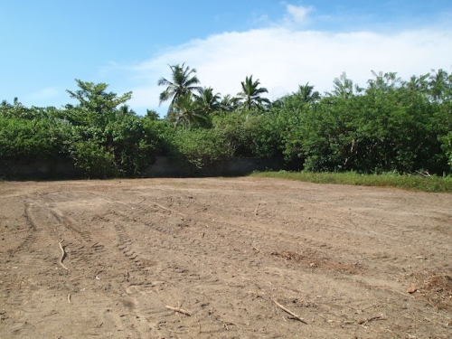 Large portion of beachfront land