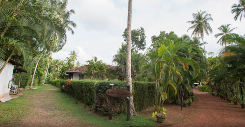 Little Heaven in Benthota