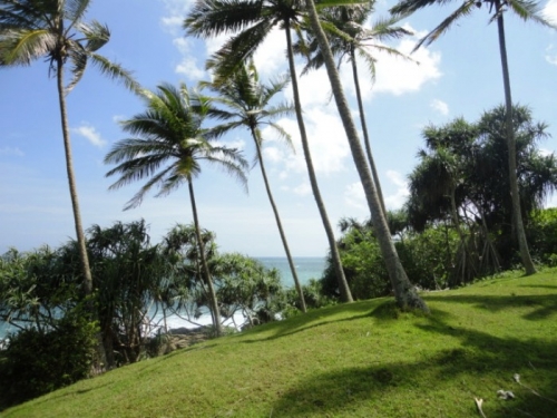 Promontory over looking the Indian Ocean
