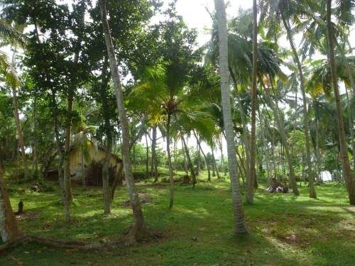 Promontory over looking the Indian Ocean