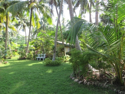 Two Properties in Akurala