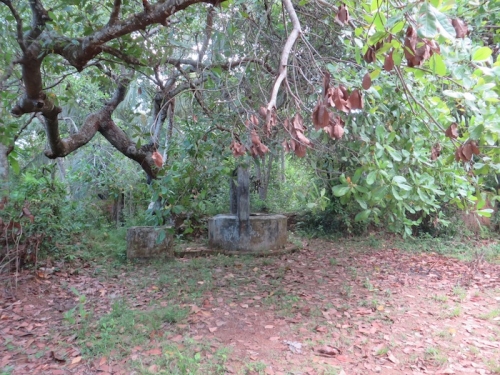 Old Colonial House In Weligama