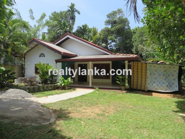 Paddy Front Property