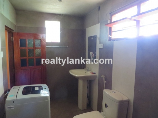 Paddy Front Property