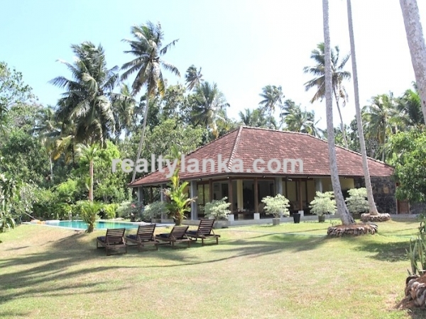 Secluded Villa in midst of a cinnamon Plantation