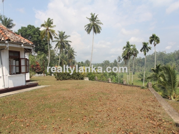 Old Colonial House with a Rubber Plantation
