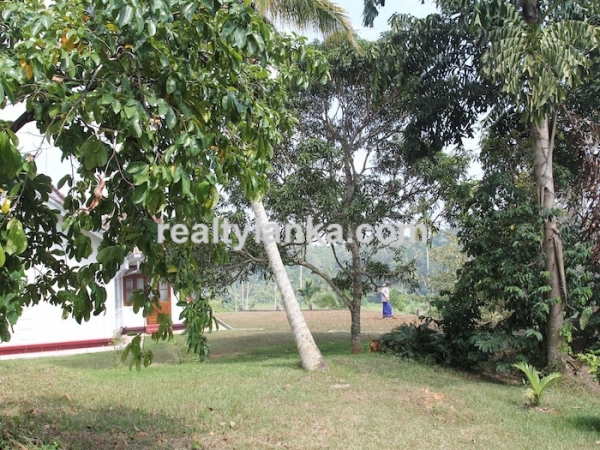 Old Colonial House with a Rubber Plantation