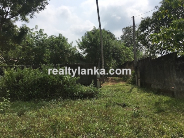 Property with a paddy view