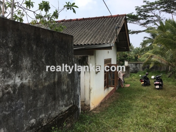 Property with a paddy view