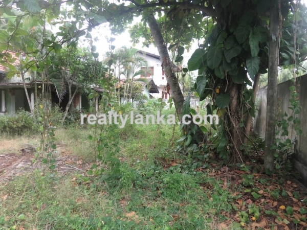 40m Beach Front Property