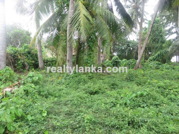 40m Beach Front Property