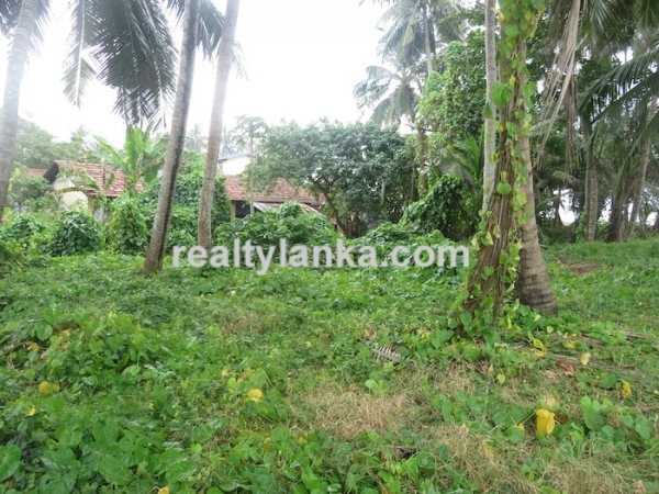 40m Beach Front Property