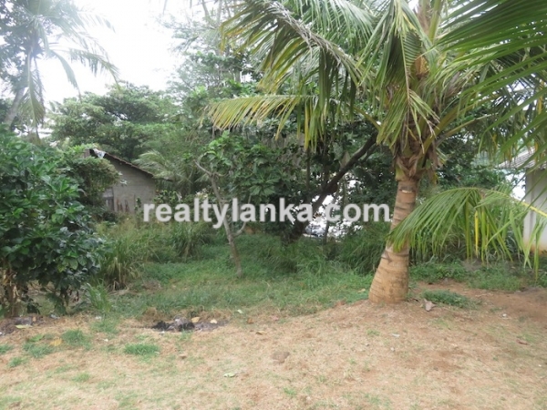 Beachfront 100 Perches Land