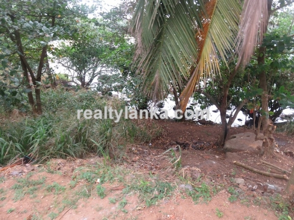 Beachfront 100 Perches Land