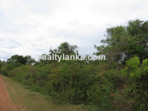 Bare Land Facing the Lagoon