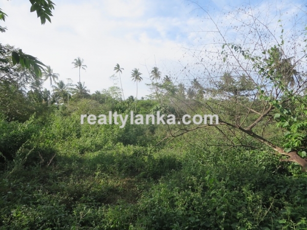 90P Perches in Midigama