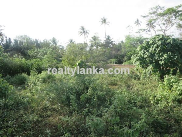 90P Perches in Midigama