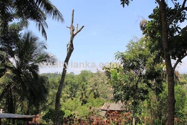 BareLand in Unawatuna