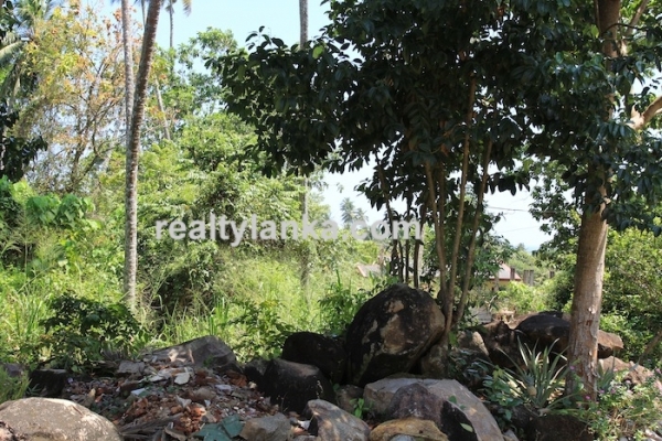 BareLand in Unawatuna