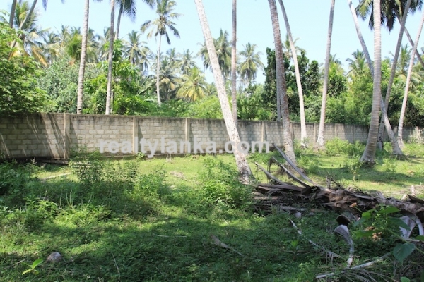 Bareland In Habaraduwa