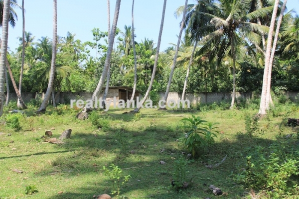 Bareland In Habaraduwa