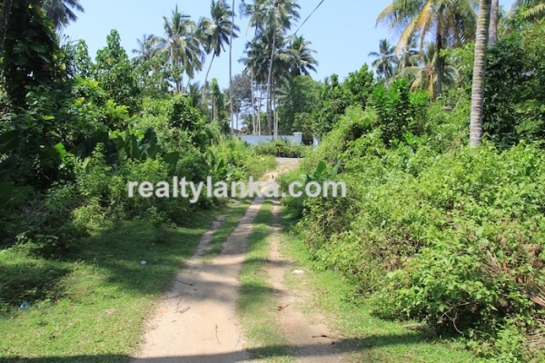 Bareland In Habaraduwa