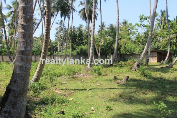 Bareland In Habaraduwa