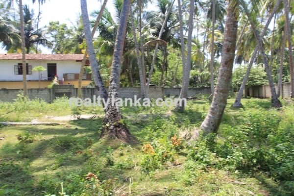 Bareland In Habaraduwa