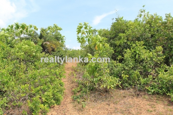 Property with a Relaxing View Over Paady