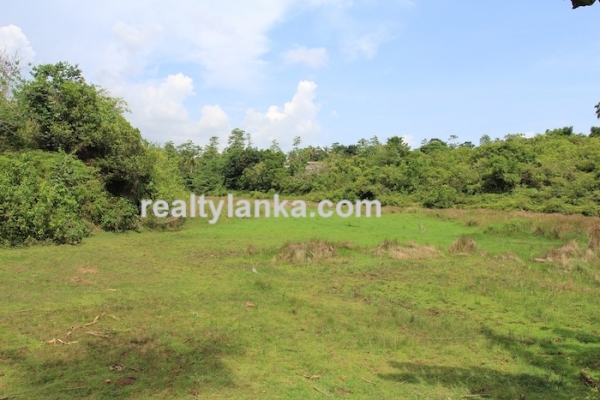 Property with a Relaxing View Over Paady