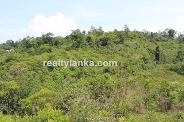 Property with a Relaxing View Over Paady