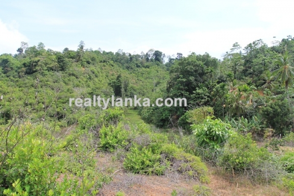 Property with a Relaxing View Over Paady