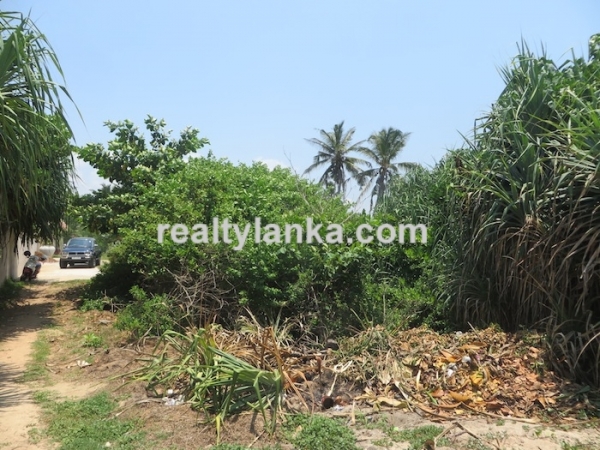 Breathtaking Beach Property in Weligama