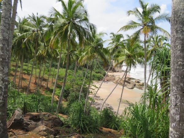 Beachfront property with panoromic view