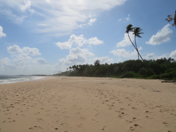 7.5 Acres Beach Property In Rekawa
