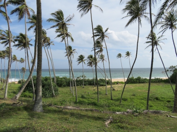 7.5 Acres Beach Property In Rekawa