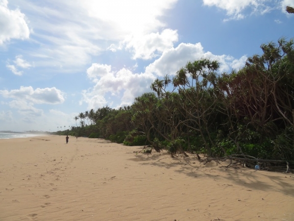 7.5 Acres Beach Property In Rekawa