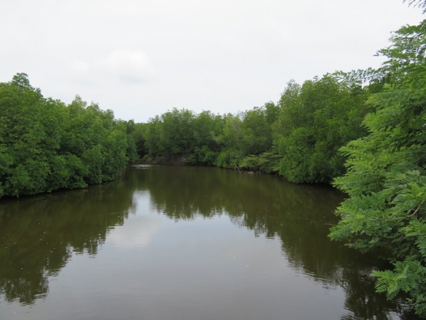 Peaceful Relaxing River Front Property
