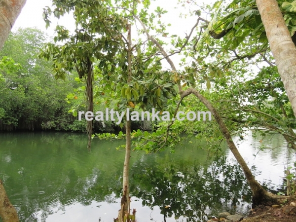 River front Proprty In A Calm & Quiet Area