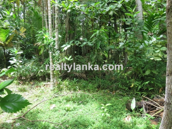 River front Proprty In A Calm & Quiet Area