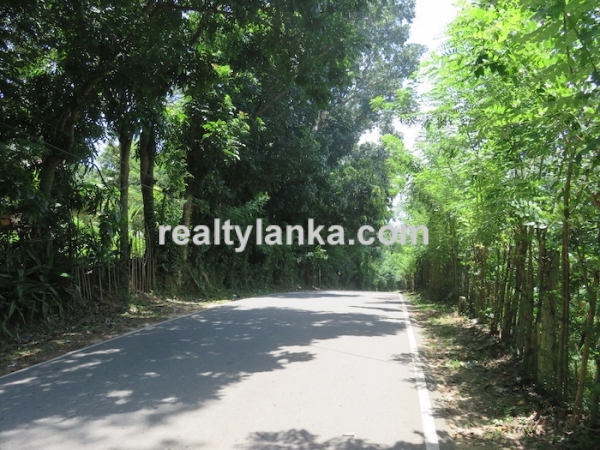 170 Perches Land In Midigama