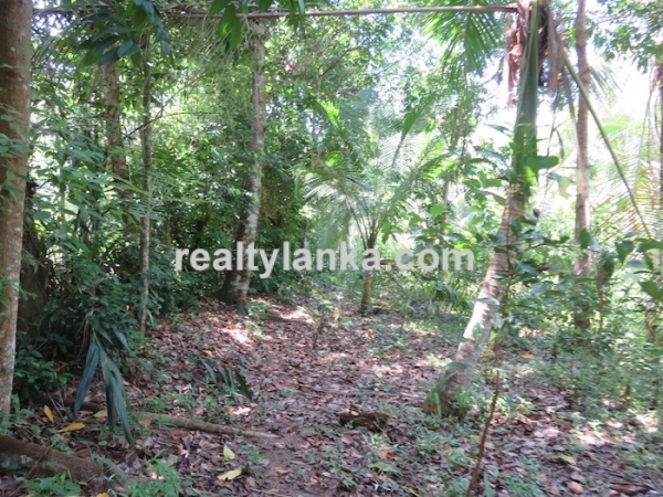 170 Perches Land In Midigama