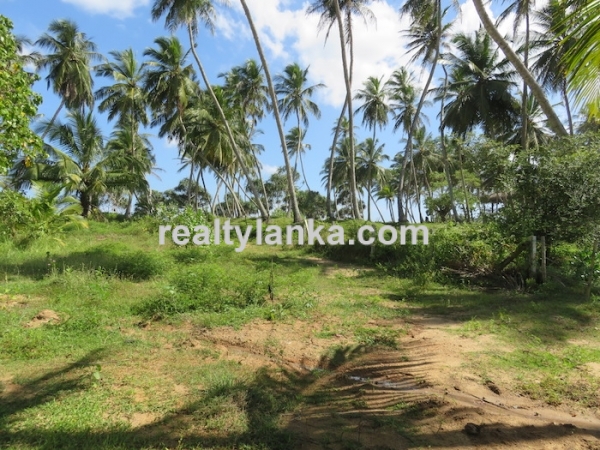 Beachfront Property In Rakawa