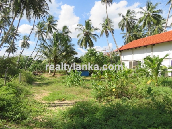 Beachfront Property In Rakawa