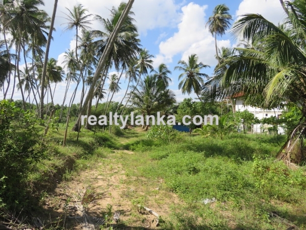 Beachfront Property In Rakawa